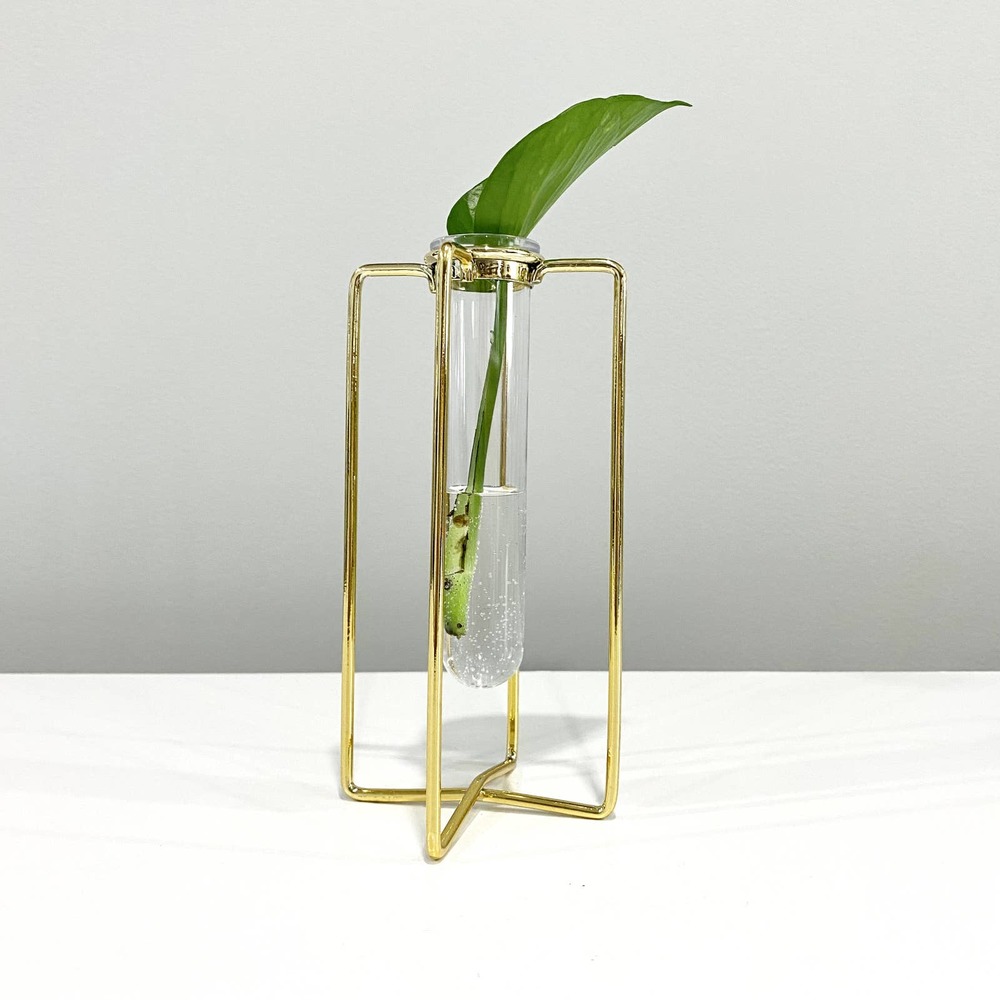 Glass Propagation Test Tube Stand With Gold Metal Accent